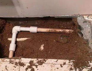 博湖测漏水哪家好