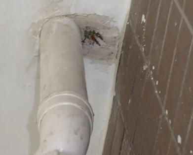 博湖漏水检测哪家好